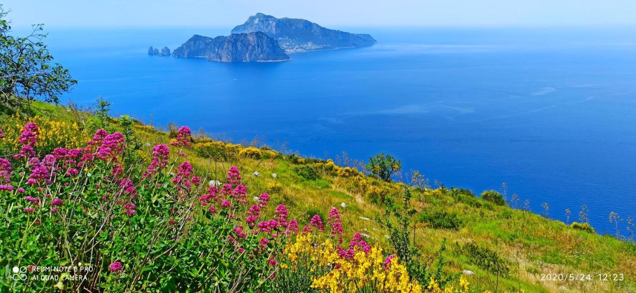 La Villa Degli Dei: Private Oasis with Garden Retreat and Complimentary Shuttle Castellammare di Stabia Exterior photo